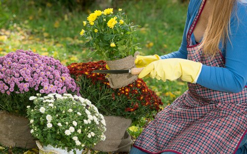 Insurance documents and safety helmet for gardening team