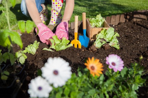 Sustainable garden with native plants and eco-friendly elements in Thornton Heath.
