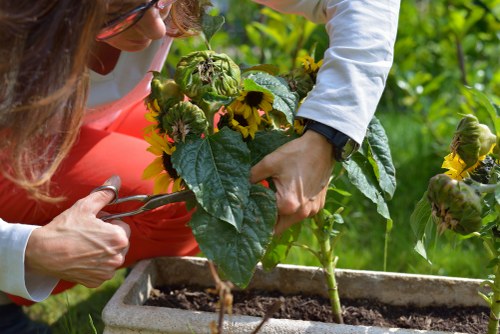 Inspector reviewing planting beds during a site visit
